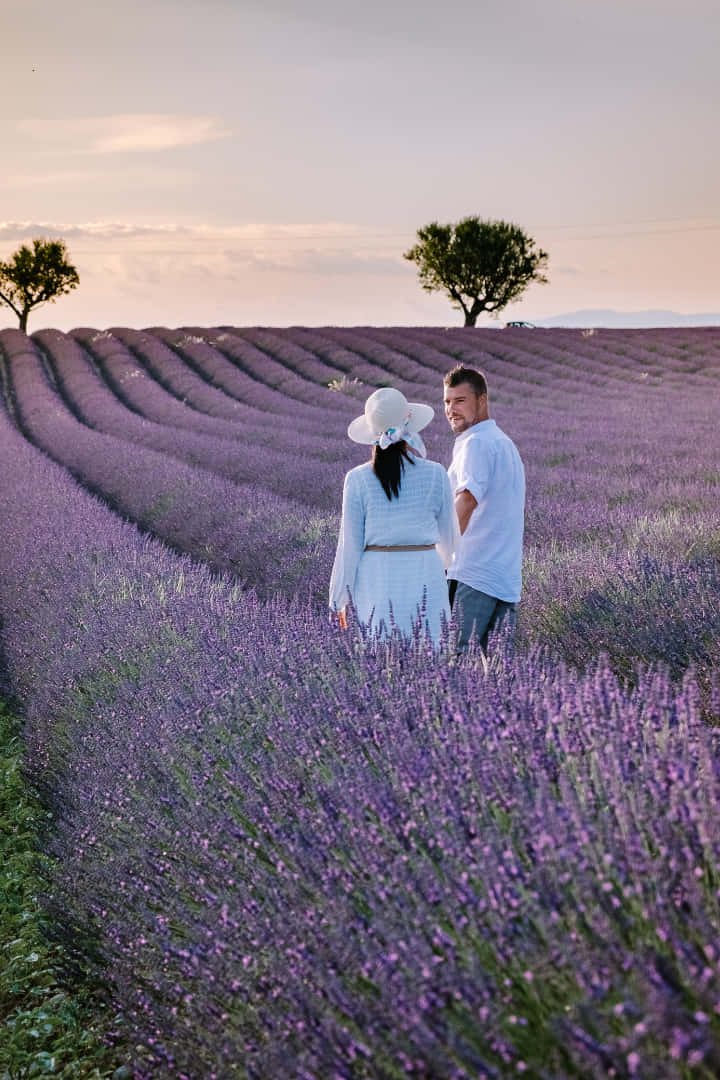 a couple walking through a field of flowers