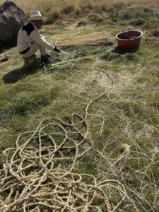 Inca man weaving q'oya grass