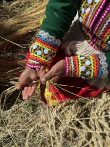 Inca woman weaving q'oya grass